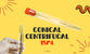 Conical Centrifugal PS Tubes for Reliable Laboratory Performance | Clinsam