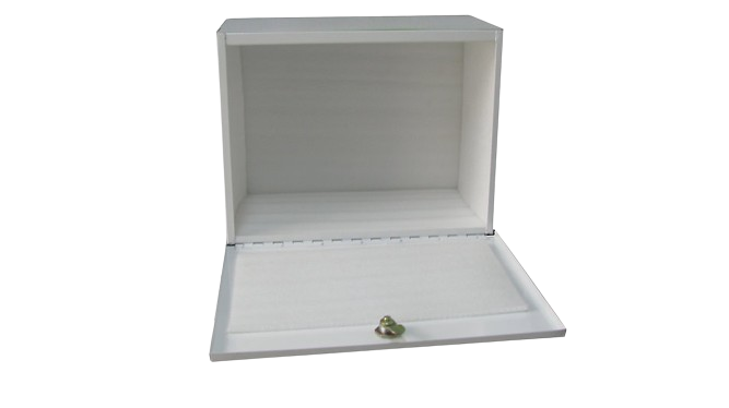 Medical Lockbox with Lock Keys | LabMedUSA Lab Supplies