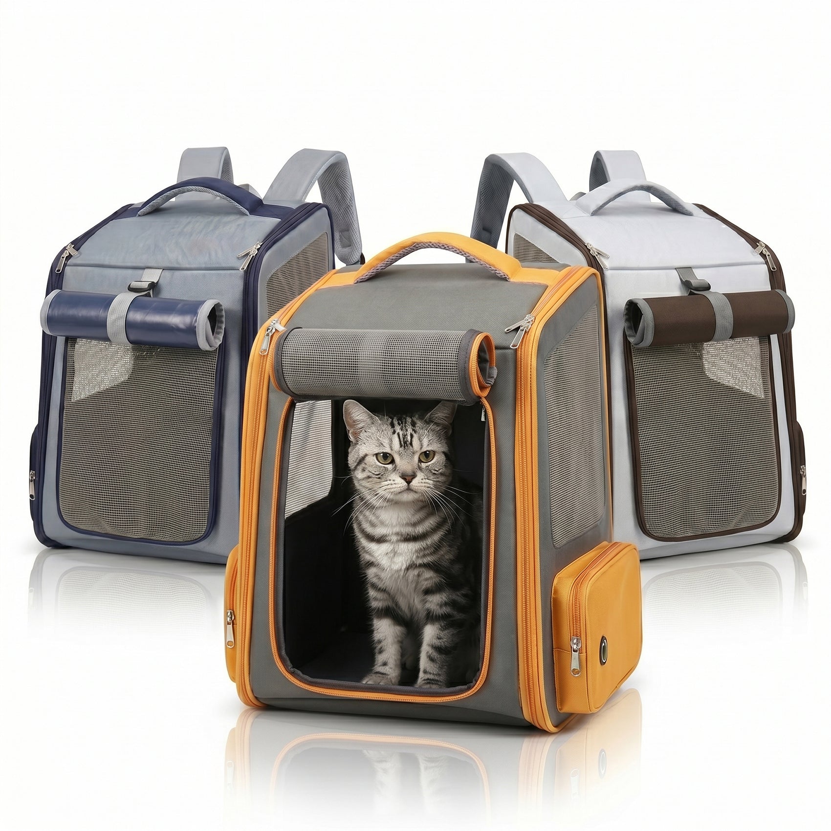 Paw Parents Needs