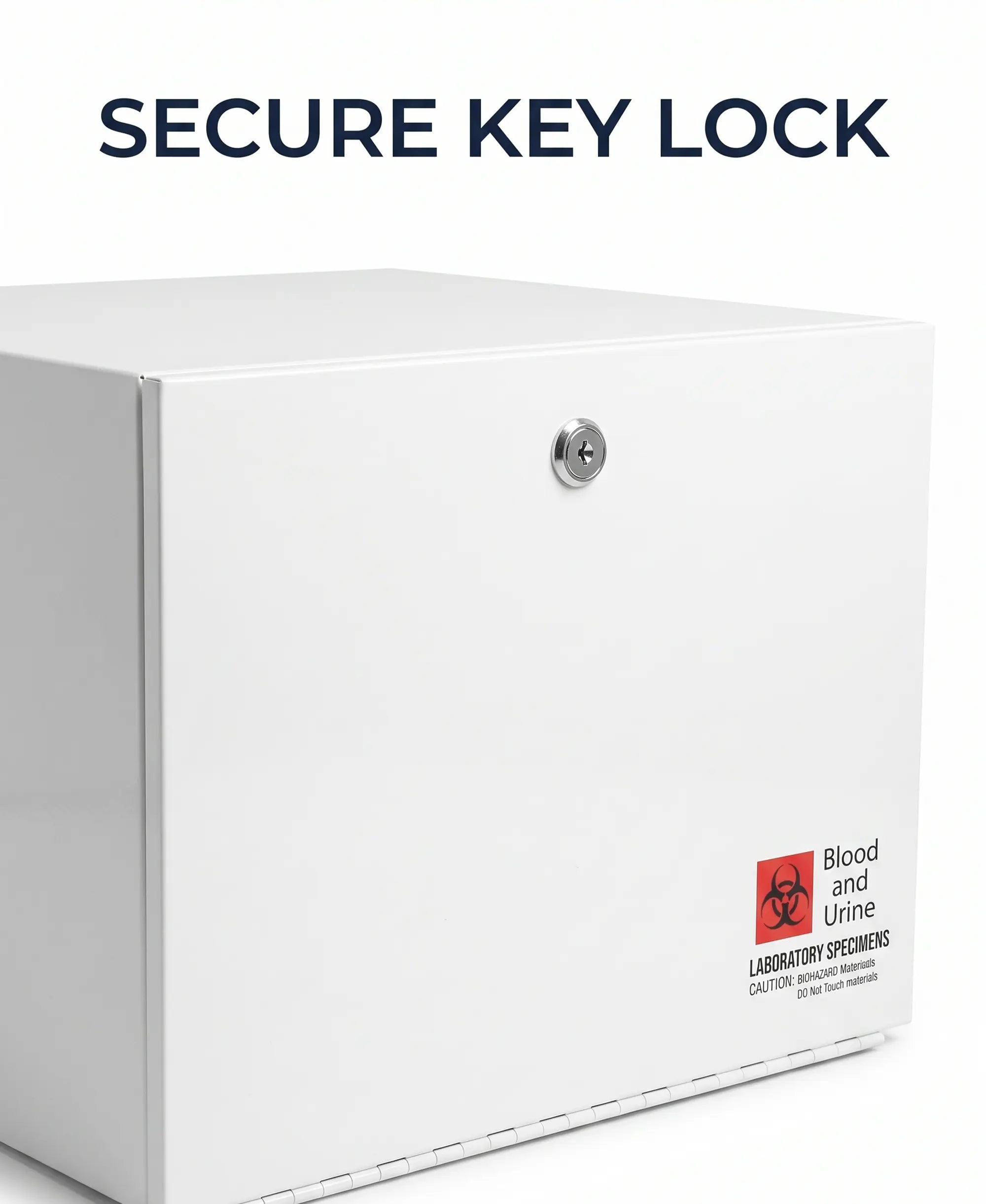 Medical Specimen Box with Lock & Key - Large 14 x 14 x 10.25 in, Lock Box