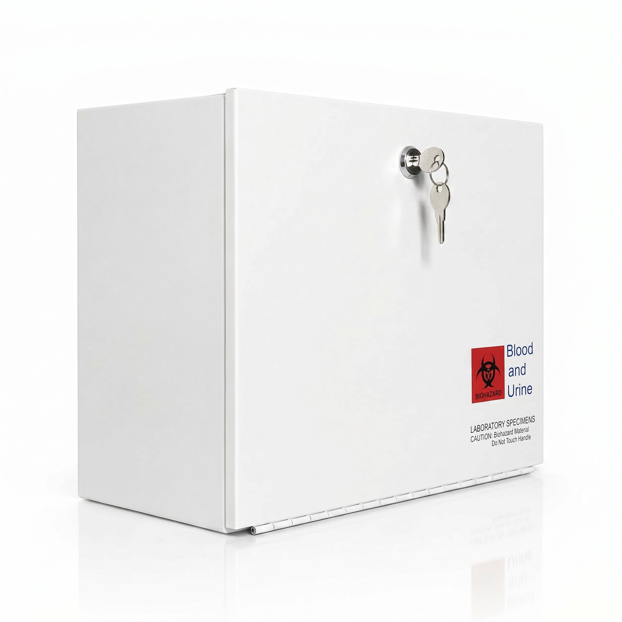 Medical Lock Box with Lock & Keys (Medium) - Overdoor Hanger Lockbox, 14