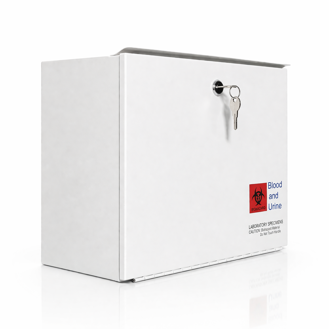 Medical Lock Box with Lock & Keys (Medium) - with Over-Hang Metal, 14